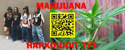 индика Можайск