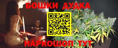 индика Можайск