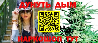 индика Можайск