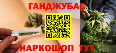 индика Можайск