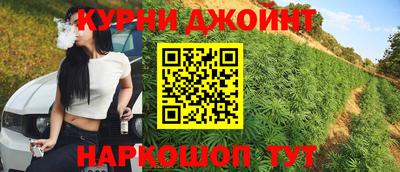 индика Можайск