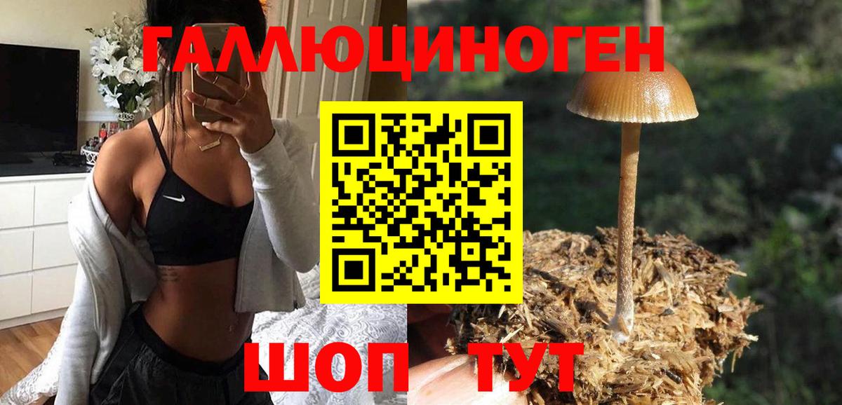 Черногорск  Псилоцибиновые грибы прущие грибы  Псилоцибиновые грибы GOLDEN TEACHER  дарнет шоп  Вход с VPN 
